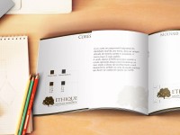 Manual de Identidade Visual