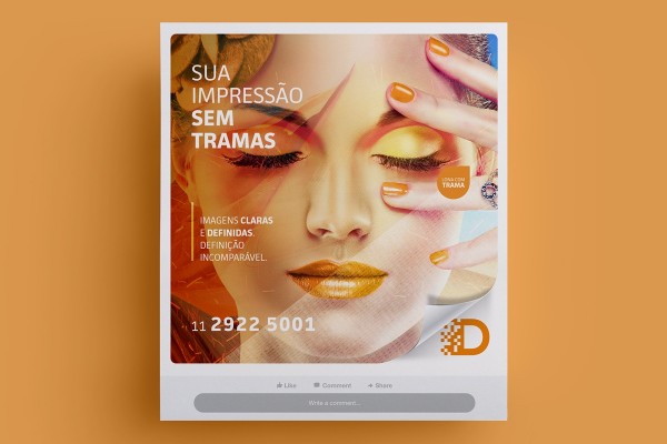 Gerenciamento e gestão de Facebook, Facebook Ads e Instagram